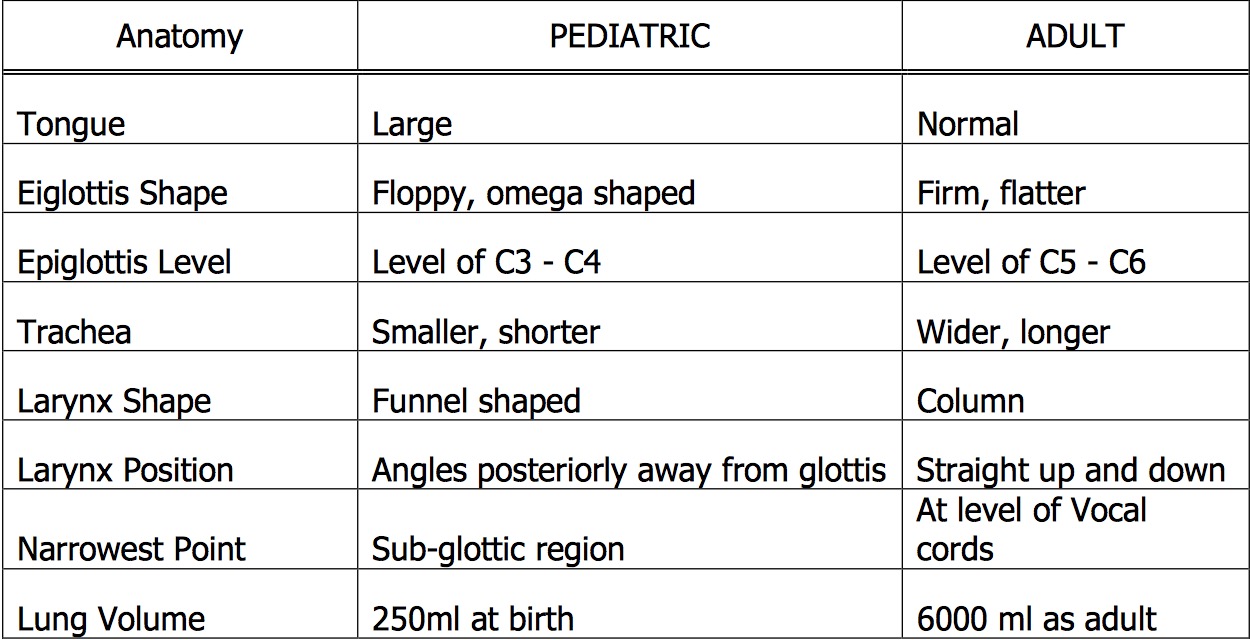 Neonatal Airway Anatomy